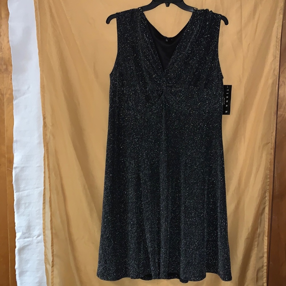 TIANA B AFTER FIVE DRESS